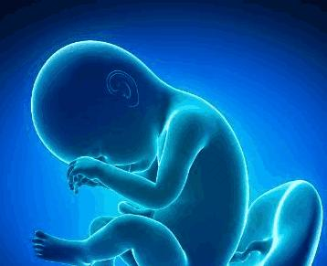 孕妇脱水 对胎儿影响巨大